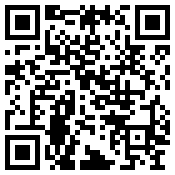 手机/微信访问网站